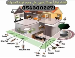 Pest Control in Dubai Emirate Emirates