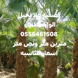 Agricultural Services in Riyadh Saudi Arabia