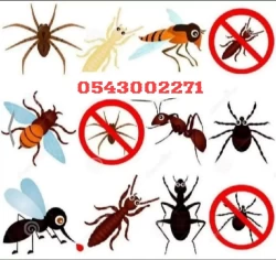 Pest Control in Dubai Emirate Emirates