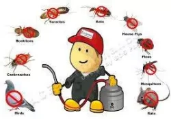 Pest Control in Sharjah Emirate Emirates