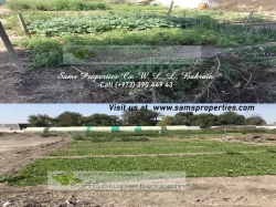 Farms For Rent in Jid Al Haj  »  Northern Governorate