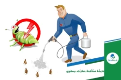 Pest Control in Jeddah Saudi Arabia