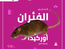 Pest Control in Jeddah Saudi Arabia