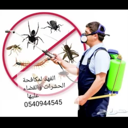 Pest Control in Jeddah Saudi Arabia