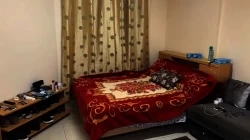 Studios For Rent in Hamidiya  »  Ajman  »  Ajman Emirate