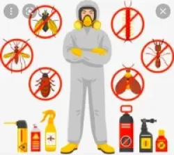 Pest Control in Riyadh Saudi Arabia