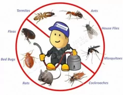 Pest Control in Sharjah Emirate Emirates