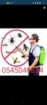 Pest Control in Abu Dhabi Emirates