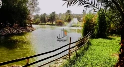 Villas and houses For Rent in Budaiya  »  Northern Governorate