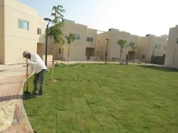 Agricultural Services in Bahrain