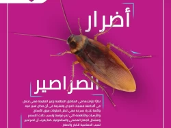 Pest Control in Jeddah Saudi Arabia