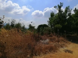 Lands For Sale in Montiverdi  »  El Metn  »  Mount Lebanon