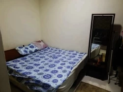 Studios For Rent in Ajman  »  Ajman Emirate