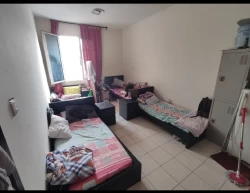 Shared housing For Rent in Dubai Emirate Emirates